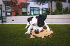 Spot Dura-Fused Leather & Jute Barnyard Assorted Dog Toy, a black and white dog lying on the grass and chewing a tan cow-shaped toy
