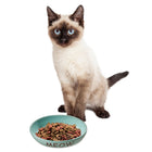 6 inches size of Spot Portofino Blue Oval Cat Dish