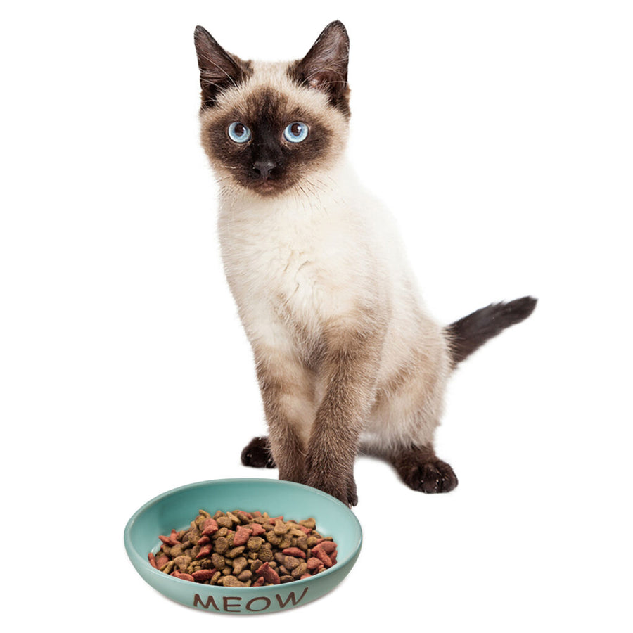 6 inches size of Spot Portofino Blue Oval Cat Dish
