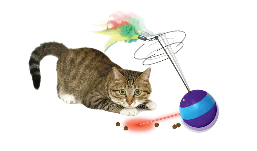 A cat playing with the Spot Spin toy dispenser, demonstrating the different play functions
