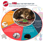 Why Playtime Is Important Spot Spin Toy Purrfect Toy