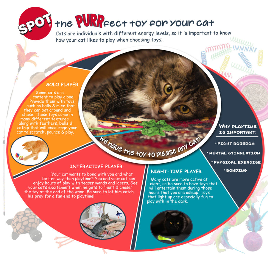 Why Playtime Is Important Spot Spin Toy Purrfect Toy