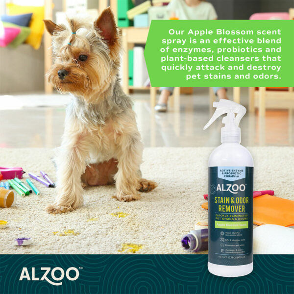 Alzoo Stain & Odor Remover Apple Blossom Scent Spray