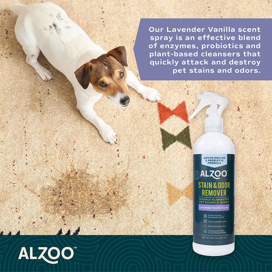 Alzoo Stain & Odor Remover Lavender Vanilla Scent Spray