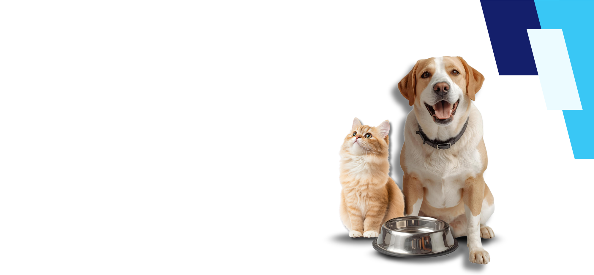 Never Run Out Again!