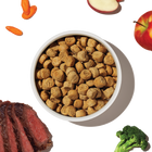 The Honest Kitchen Grain Free Beef Recipe Clusters for Dogs Actual Food.
