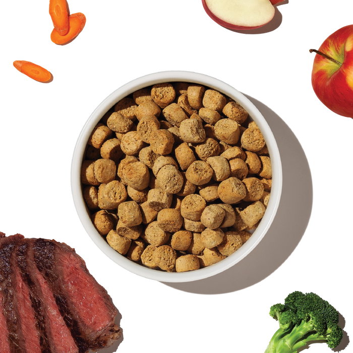 The Honest Kitchen Grain Free Beef Recipe Clusters for Dogs Actual Food.