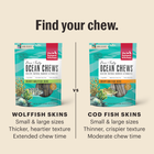 Find your chew.