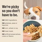 *No GMO ingredients
*No corn, wheat or soy
*No meat meals
*No artificial preservatives or flavors
