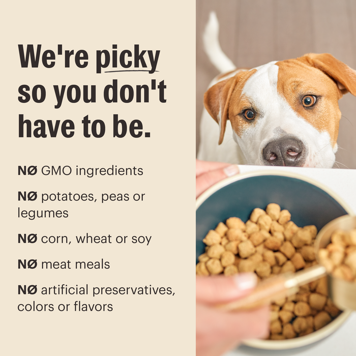 *No GMO ingredients
*No corn, wheat or soy
*No meat meals
*No artificial preservatives or flavors