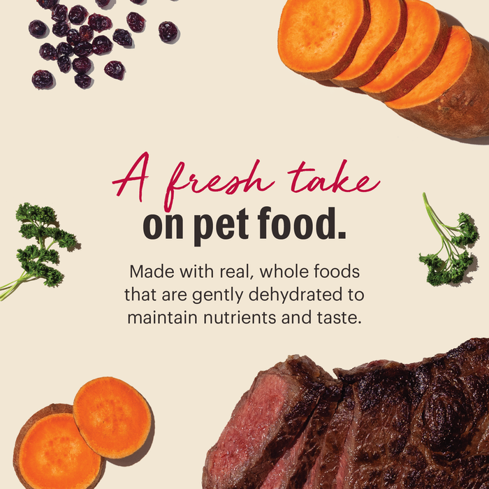 A fresh take on pet food.
