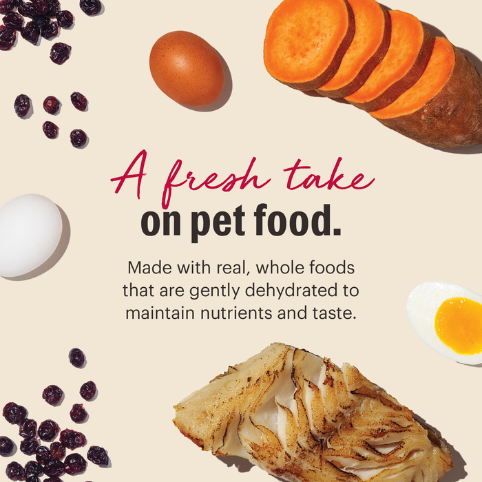 A fresh take on pet food.