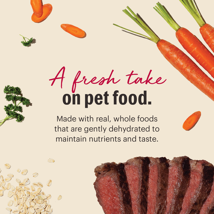 A fresh take on pet food.