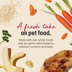 A fresh take on pet food.
