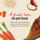 A fresh take on pet food.