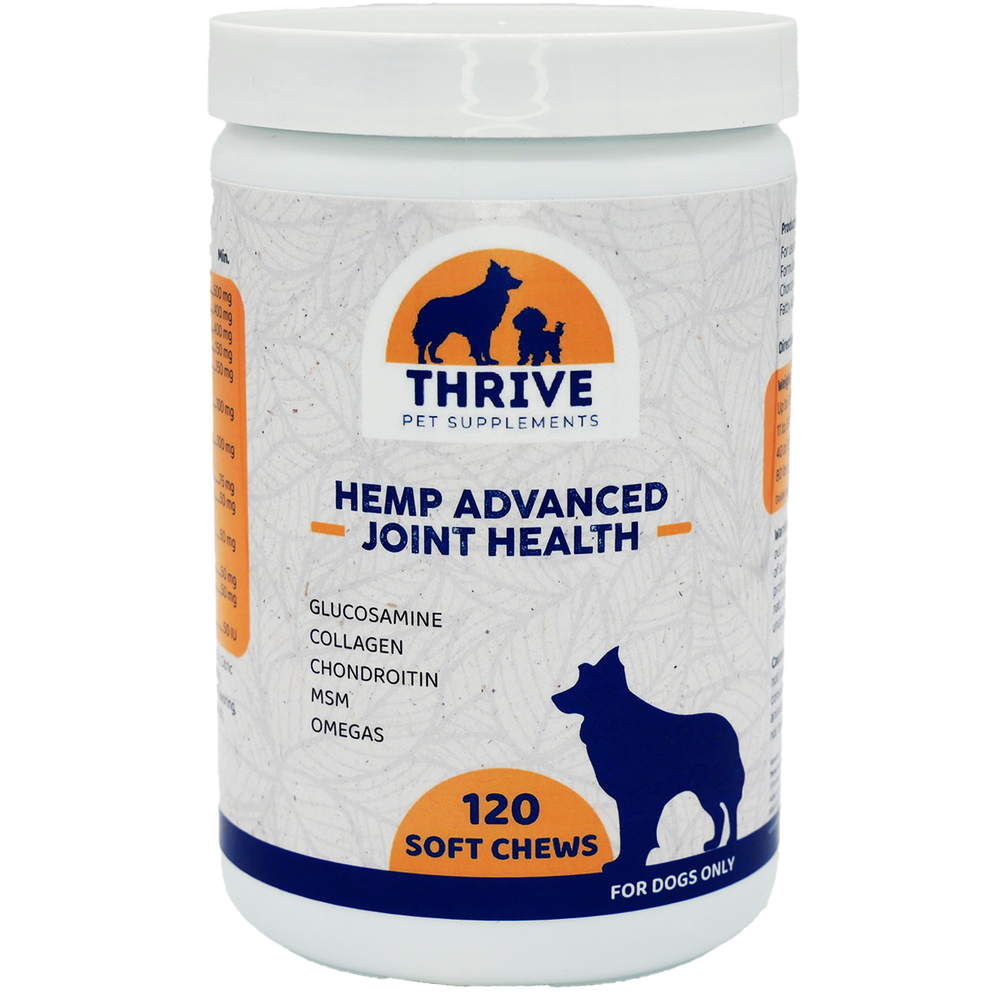 Front Plastic Bottle of Thrive Pet Supplements Hemp Advanced Joint Health Soft Chews for Dogs 120 SC