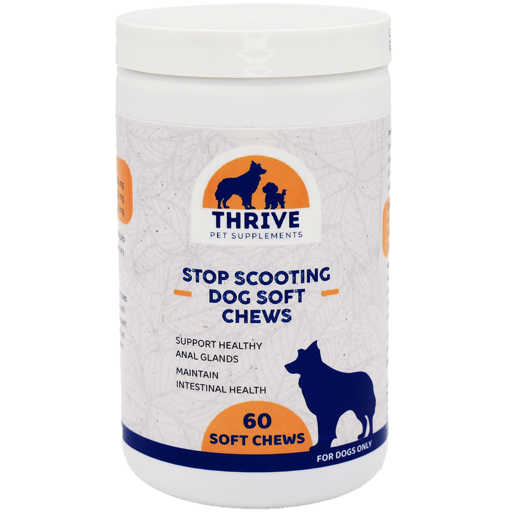 Front plastic container of Thrive Pet Supplements Stop Scooting Soft Chews for Dogs