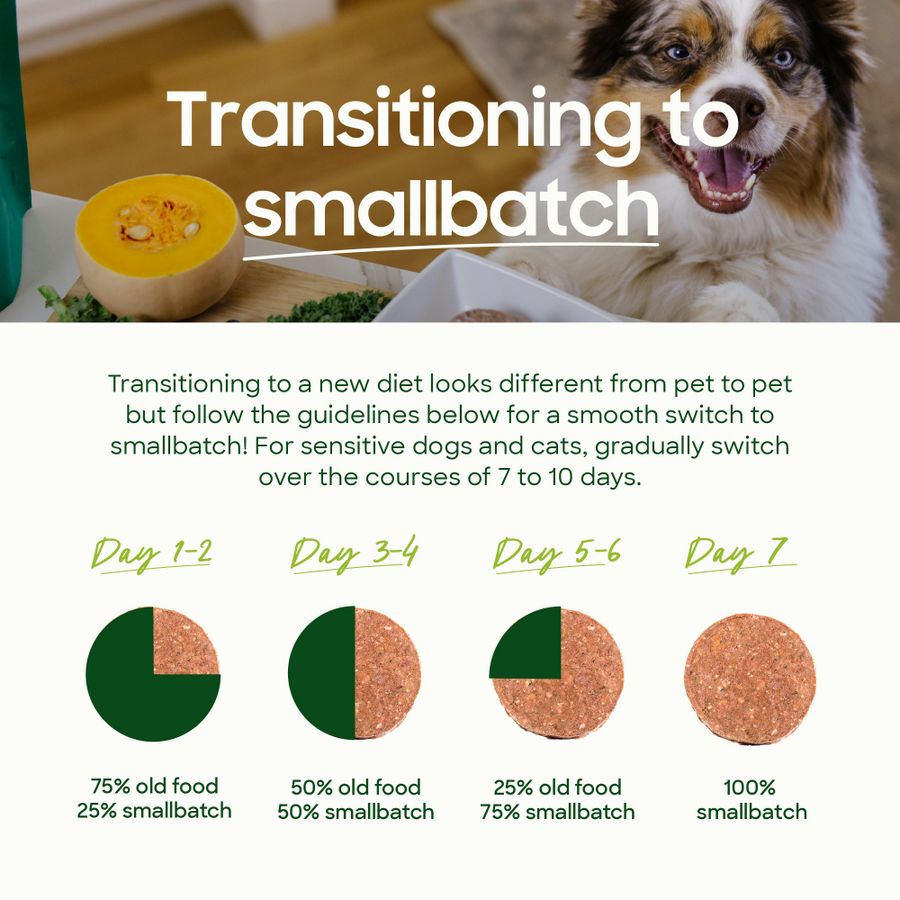 Transitioning to a new diet looks different from pet to pet but follow the guidelines below for a smooth switch to smallbatch! 