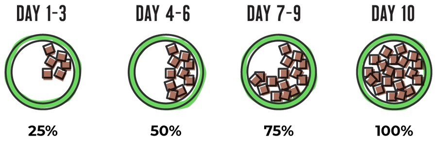 Transitioning Guide for Raw Dynamic for cats. 