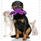Tuffy's Ocean Creature 12" Octopus Durable Dog Toy Lifestyle