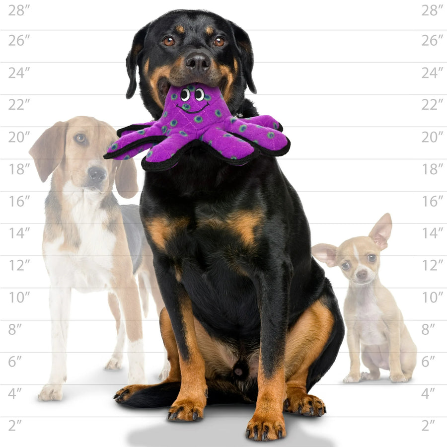 Tuffy's Ocean Creature 12" Octopus Durable Dog Toy Lifestyle