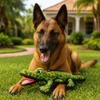 Tuffy's Ocean Creatures Gary Gator Dog Toy