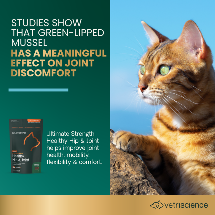 Studies show that green-lipped mussel has a meaningful effect on joint discomfort. 