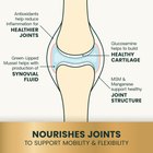 Nourishes joints to support mobility & flexibility.  