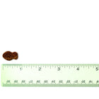 Approximately 1 inch. 