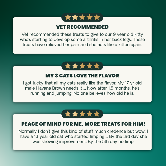 Vet Recommended. 