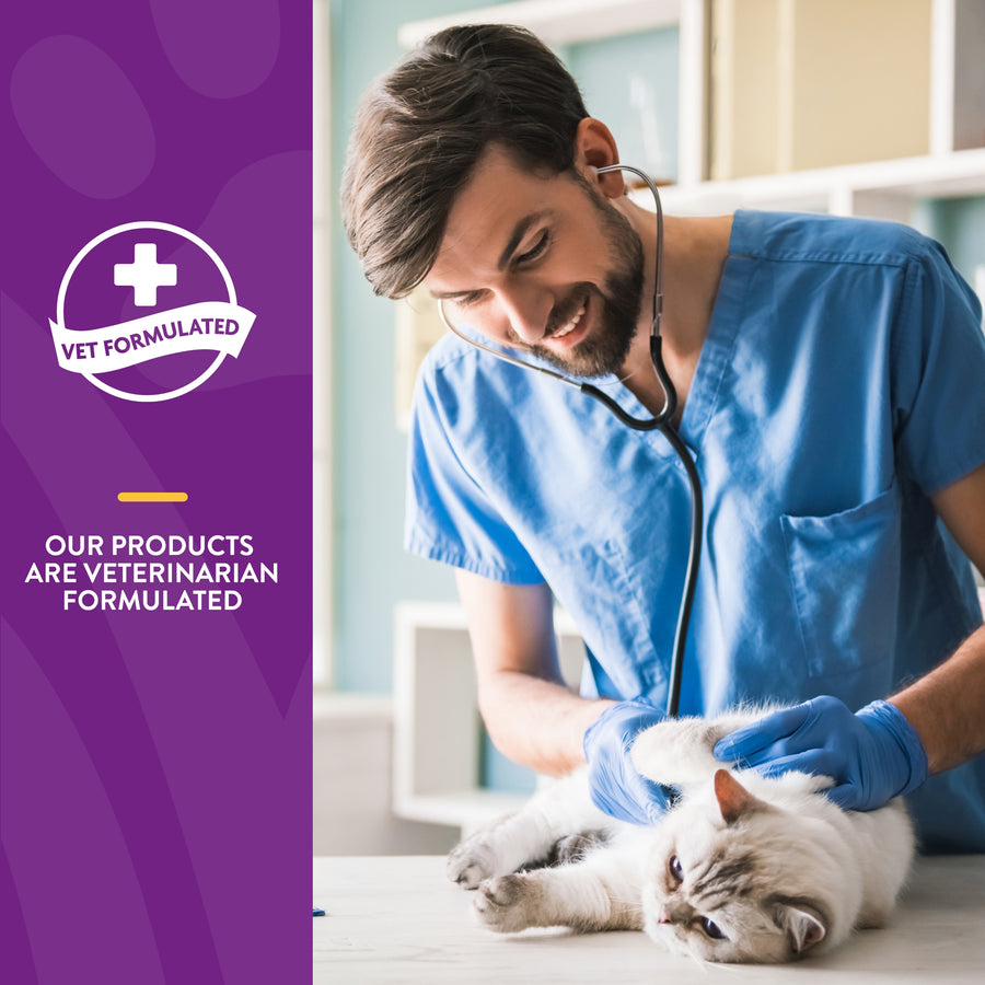 NaturVet VitaPet Senior Daily Vitamins Soft Chews for Cats