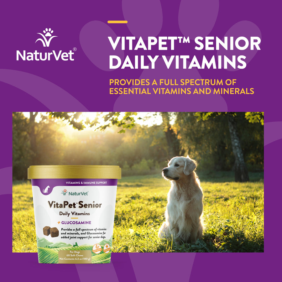 NaturVet VitaPet Senior Daily Vitamins Plus Glucosamine Soft Chews for Dogs 60ct