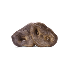 2 pieces of Vital Essentials Freeze-Dried Pig Snout Dog Treat