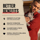 Man holding a gray cat next to benefits of freeze-dried food: energy, hydration, dental health, and wellness.