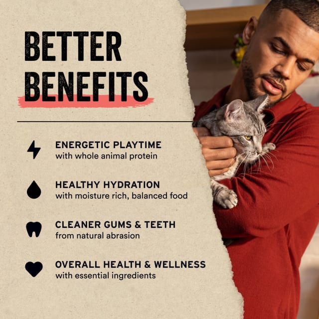 Man holding a gray cat next to benefits of freeze-dried food: energy, hydration, dental health, and wellness.