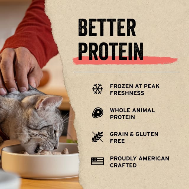 Cat eating from a bowl while being petted, highlighting better protein, freshness, and grain-free benefits.