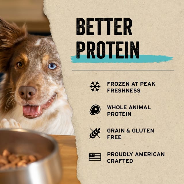 Dog looking at a bowl with pet food, highlighting better protein, freshness, grain-free benefits and proudly American crafted.