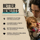 Woman holding a fluffy dog next to benefits of freeze-dried food: energy, hydration, dental health, and wellness.