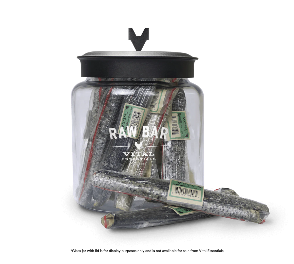 Vital Essentials Freeze-Dried Salmon Skin Dog Treat in a jar