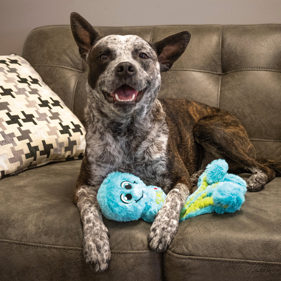 KONG Wubba Octopus Plush Dog Toy