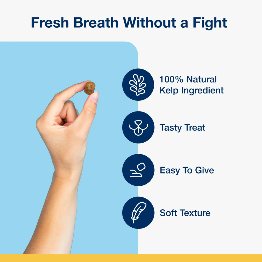 * 100% Natural Kelp Ingredient
*Tasty Treat
*Easy to Give
*Soft Texture