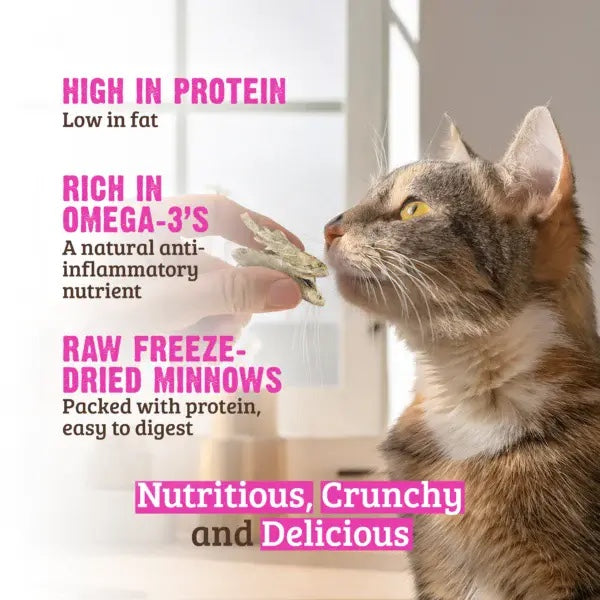 Nutritious, Crunchy and Delicious
*High in Protein
*Rich in Omega-3's
*Raw Freeze-Dried Minnows