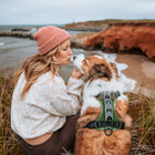 Woman in a pink beanie kissing a fluffy dog wearing a Wilderdog green harness with chevron reflective panel, seated on coastal grass with red cliffs and ocean in the background.