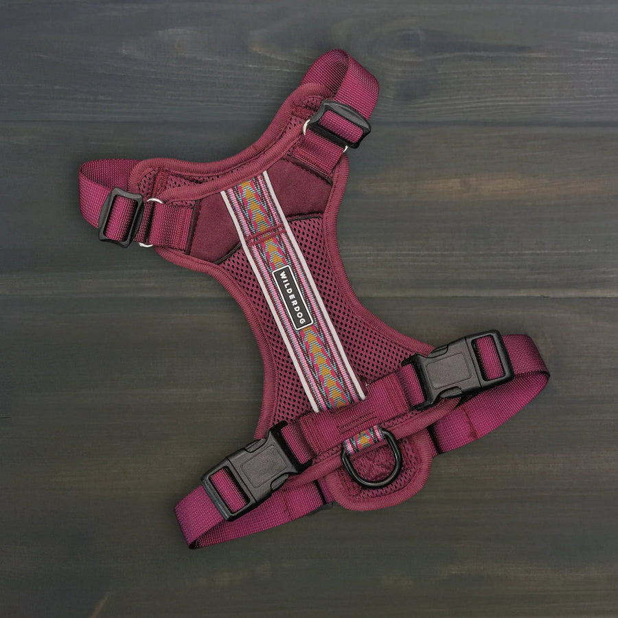 Wilderdog Huckleberry dog harness laid flat on dark wood surface, showing deep burgundy mesh body, multicolor woven reflective strip, quick-release buckles, and D-ring.