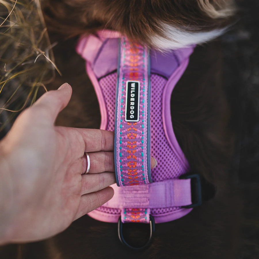 Close-up of a Wilderdog Lilac harness on a dog's back, featuring a purple and pink mesh body with a multicolor woven Wilderdog-branded strap, with a hand adjusting the fit.