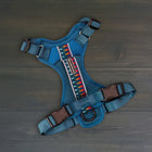 Wilderdog Pacific Blue dog harness laid flat on dark wood surface, showing teal mesh body, multicolor geometric woven reflective strip, Wilderdog logo patch, brown quick-release buckles, and D-ring.