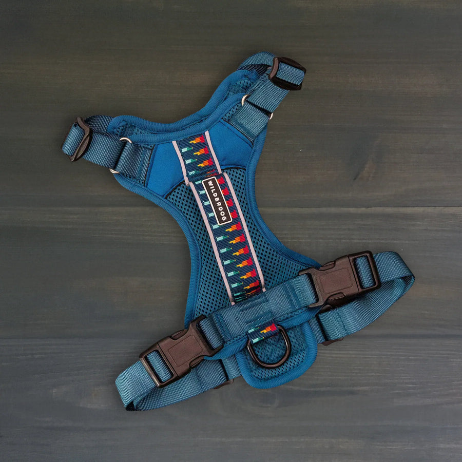 Wilderdog Pacific Blue dog harness laid flat on dark wood surface, showing teal mesh body, multicolor geometric woven reflective strip, Wilderdog logo patch, brown quick-release buckles, and D-ring.