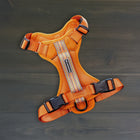 Wilderdog Sienna dog harness laid flat on dark wood surface, showing burnt orange mesh body, multicolor woven reflective strip, Wilderdog logo patch, black quick-release buckles, and D-ring.
