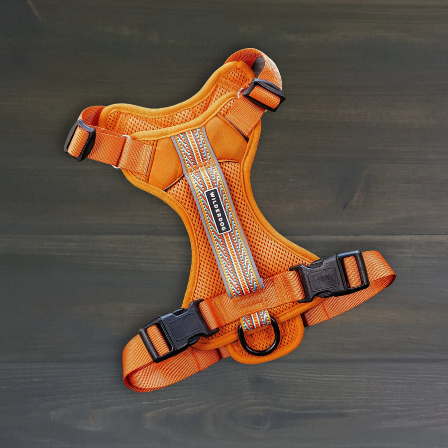 Wilderdog Sienna dog harness laid flat on dark wood surface, showing burnt orange mesh body, multicolor woven reflective strip, Wilderdog logo patch, black quick-release buckles, and D-ring.