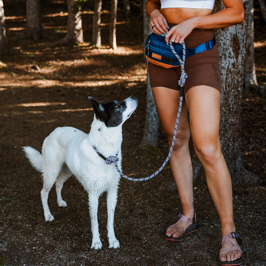 Woman on a forest trail holding a Wilderdog slip leash attached to a black and white dog looking up at her.